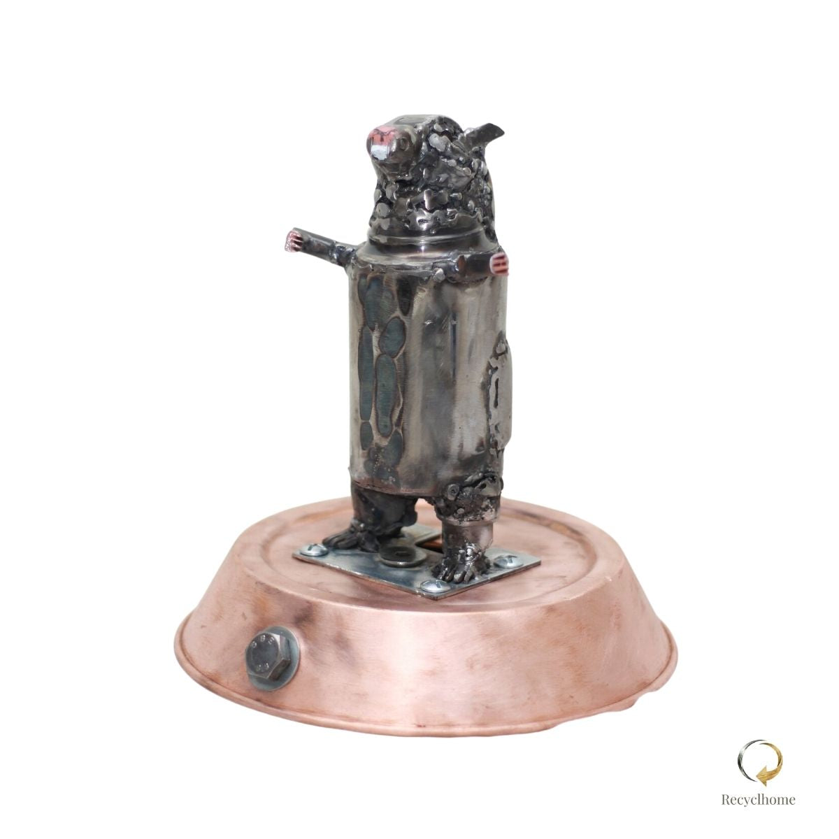 Cochon d'Inde
