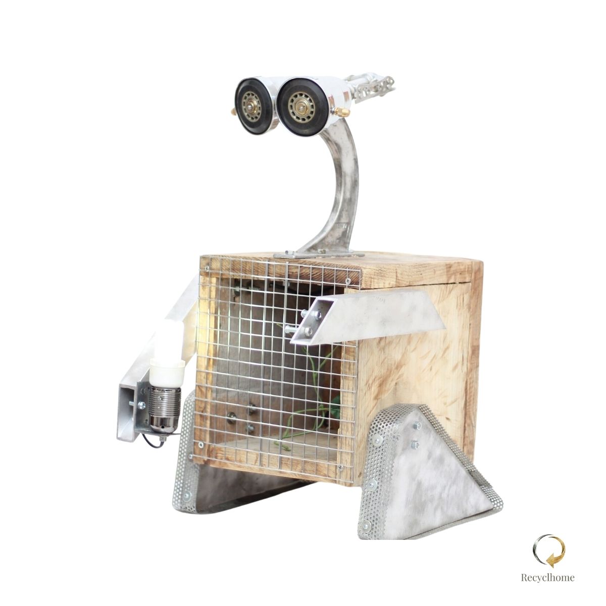 Wall E the cage