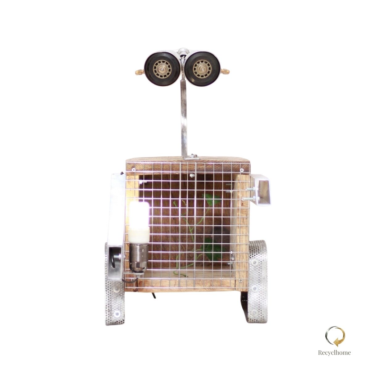 Wall E the cage