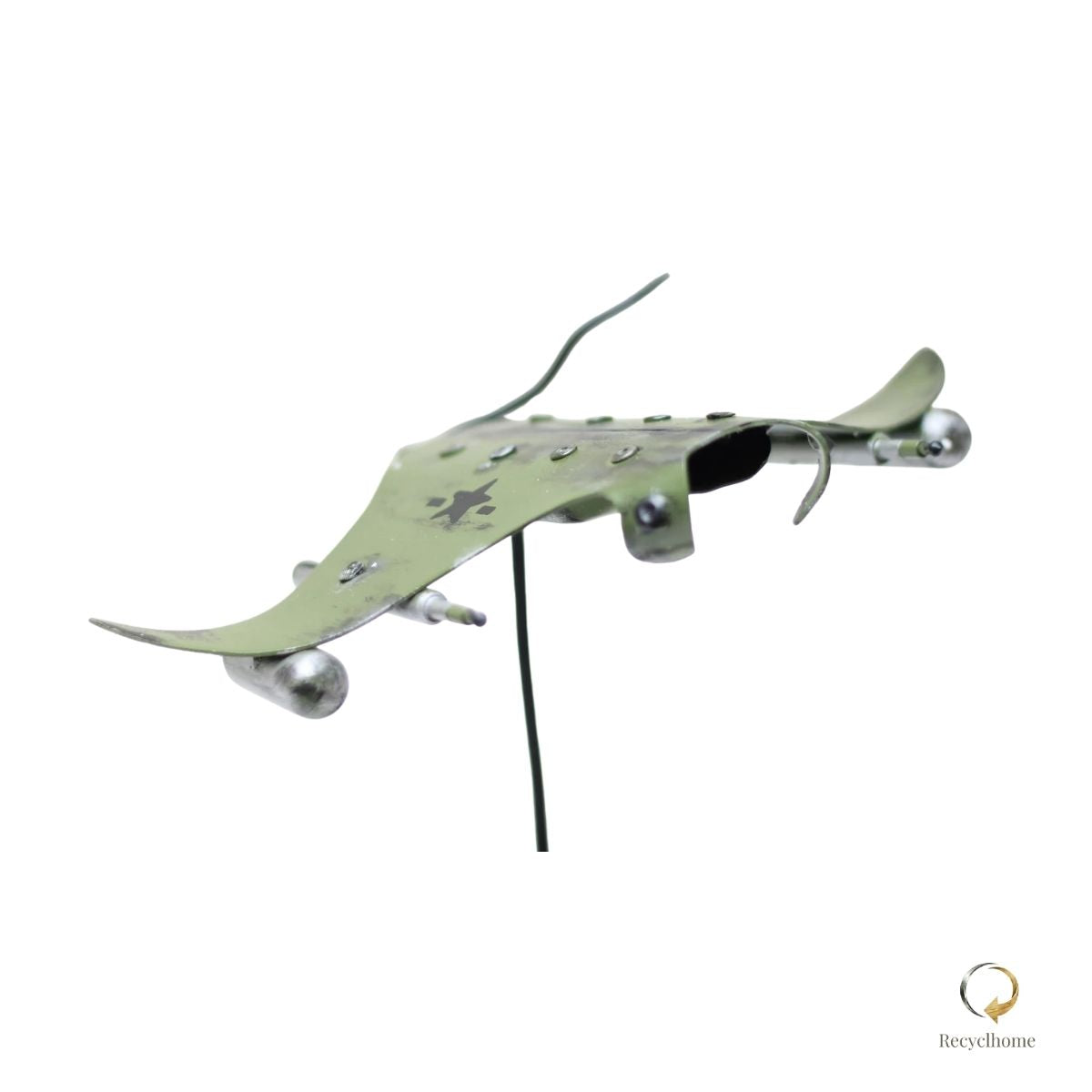 Raie Combat