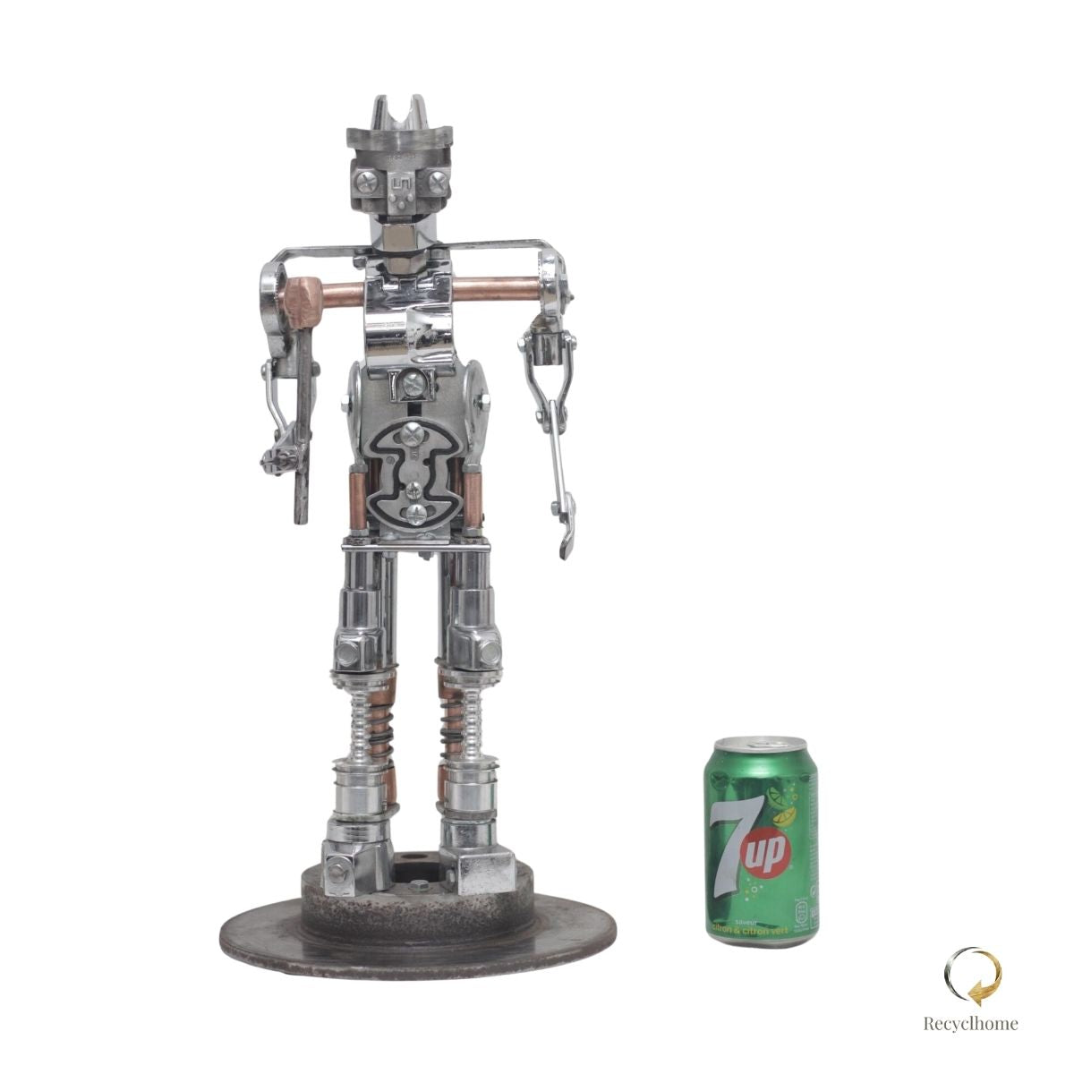 Robot Lover