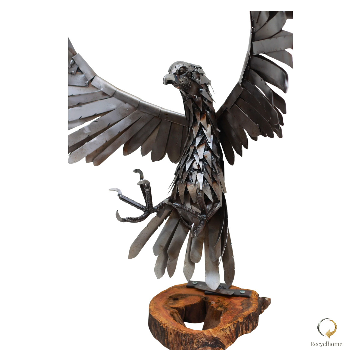 Attaque de l'aigle
